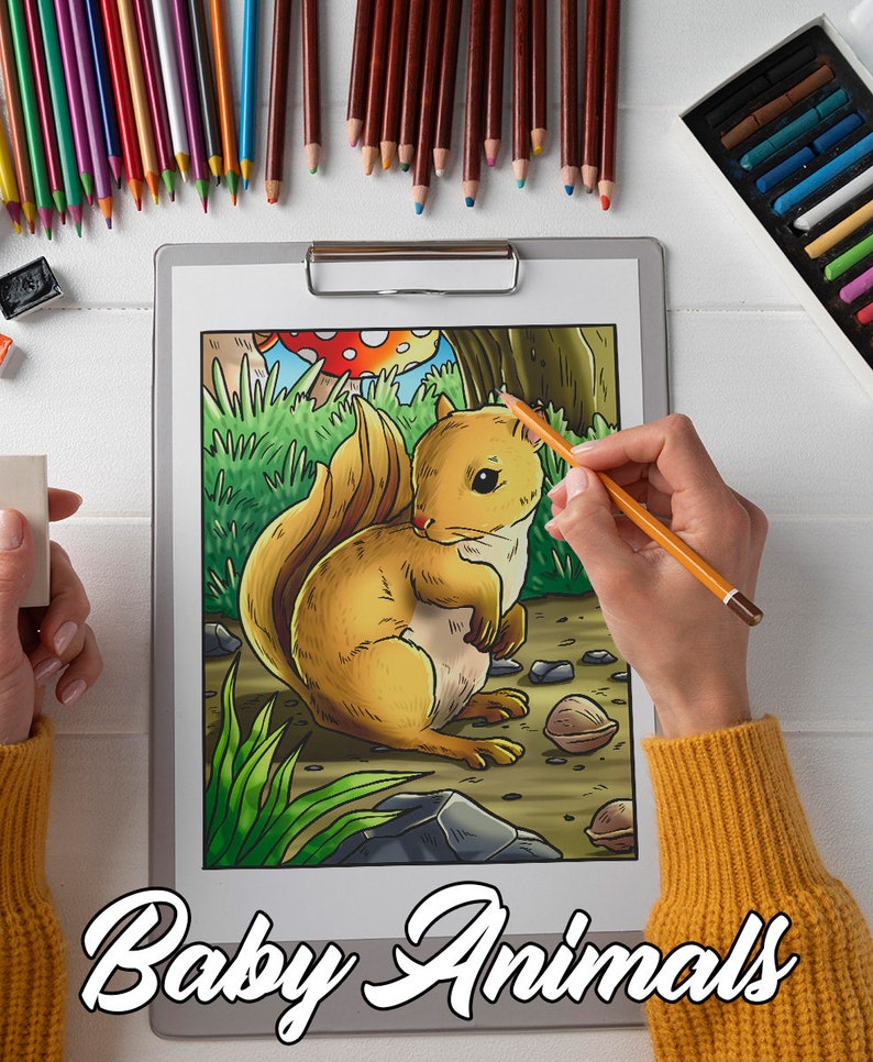 May include: A colouring page featuring a cartoon baby squirrel with a brown tail and a mushroom in the background. The page is titled "Baby Animals".