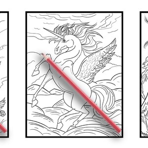 May include: Three black and white colouring book pages featuring a woman with flowers in her hair, a winged unicorn, and a winged angel.