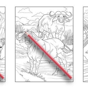 Ava Browne Coloring Books | Forest Animals Coloring Book, Adult Coloring Book Gift For Women, Teens, Girls. Wolves, Bears, Deer PDF DOWNLOAD image 9
