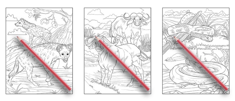 Ava Browne Coloring Books | Forest Animals Coloring Book, Adult Coloring Book Gift For Women, Teens, Girls. Wolves, Bears, Deer PDF DOWNLOAD image 9