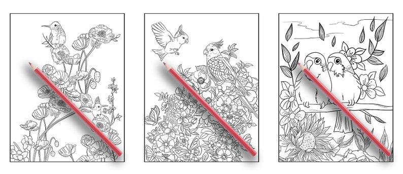 May include: Three black and white colouring pages featuring birds and flowers. The first page shows a hummingbird perched on a branch with flowers. The second page shows a cockatiel perched on a branch with flowers. The third page shows two lovebirds perched on a branch with flowers.