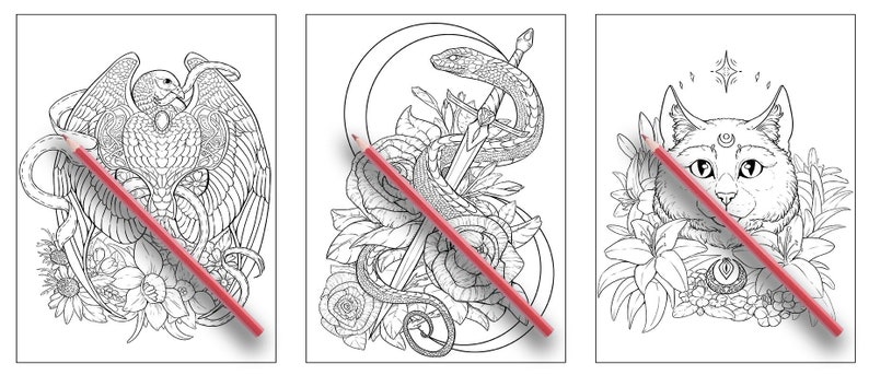 以下が含まれることがあります： 複雑なデザインが施された白黒の塗り絵3枚。最初のページには、蛇が巻き付いた鳥が描かれている。2枚目は、剣に巻き付いた蛇が描かれている。3枚目は、三日月と星が頭上に輝く猫が描かれている。