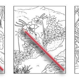 May include: Three black and white colouring pages featuring birds and flowers. A red pencil is placed diagonally across each page.