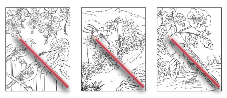 May include: Three black and white colouring pages featuring birds and flowers. A red pencil is placed diagonally across each page.