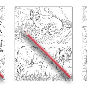 Ava Browne Coloring Books | Forest Animals Coloring Book, Adult Coloring Book Gift For Women, Teens, Girls. Wolves, Bears, Deer PDF DOWNLOAD image 6