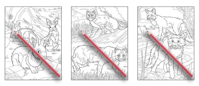 Ava Browne Coloring Books | Forest Animals Coloring Book, Adult Coloring Book Gift For Women, Teens, Girls. Wolves, Bears, Deer PDF DOWNLOAD image 6