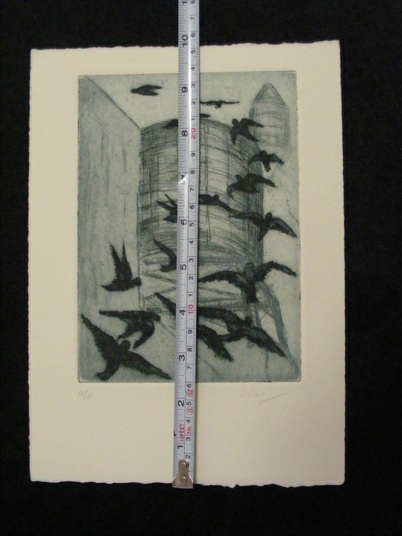 2 pieces Birds /& Watertower Lithographs 7 x 10 with birds Without birds