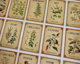 Color Coded Spice Labels: Vintage Herb Stickers for Pantry Organization