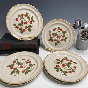 Family Table Bistro Stone Stoneware Early Strawberry Salad Dessert