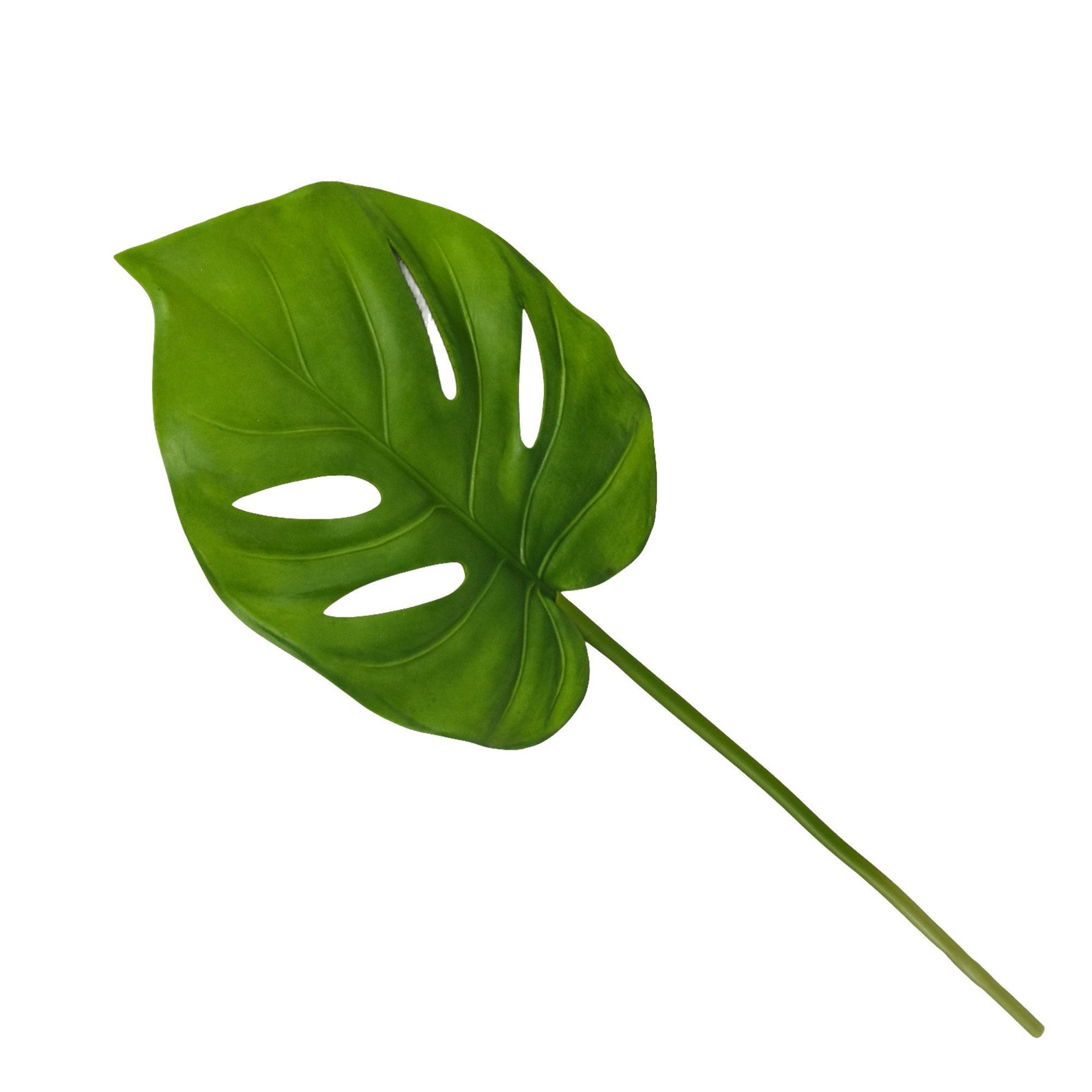 Pack of 10 Large Single Cheese Plant Faux Leaf Green 70CM Etsy