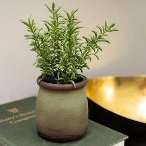 Artificial Sedum Lineare in Green Pot