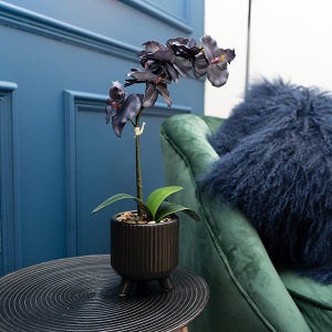 Sophisticated Matte Black Lifelike Orchid in Ceramic Footed Pot