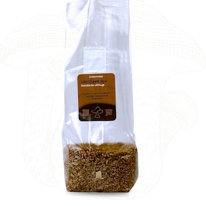 Könnte beinhalten: Ein durchsichtiger Plastikbeutel gefüllt mit sterilisiertem Roggen, beschriftet mit "Freshrooms Sterilisierter Roggen Geeignet für alle Pilze". Der Beutel liegt auf einem weißen Hintergrund.