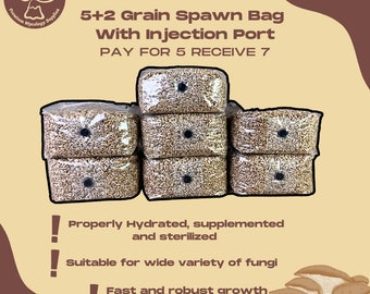 5+2 Grain Spawn Bag With Injection Port - Organic Rye Berry, Properly Hydrated, Supplemented and Sterilized - Mushroom Grow Bag