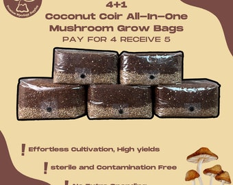 4+1 All-In-One Coconut Coir Mushroom Grow Kit With Injection Port -Coconut Coir Substrate + Organic Rye Berry Grain