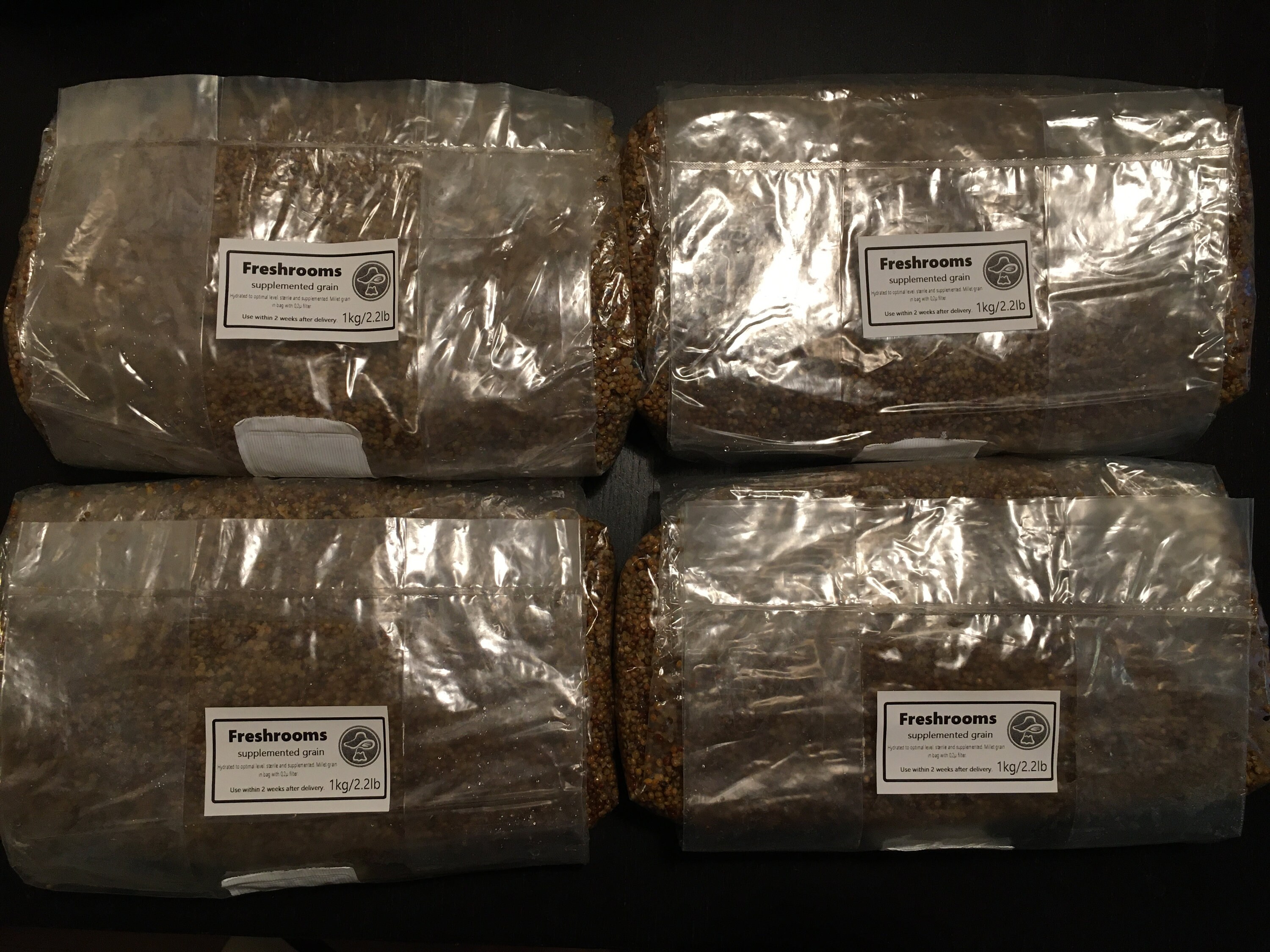 1kg Sterile millet grain bag with injection port Etsy