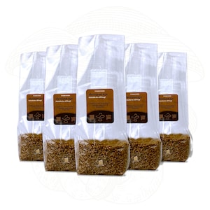 4+1 FREE Sterile Grain Spawn Bag – Organic Rye Berry with Injection Port for Mushroom Cultivation