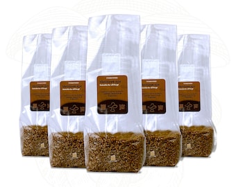 4+1 FREE Sterile Grain Spawn Bag – Organic Rye Berry with Injection Port for Mushroom Cultivation