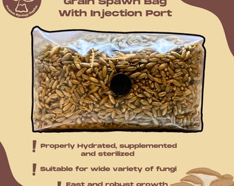 Grain Spawn Bag With Injection Port - Organic Rye Berry Grain, Properly Hydrated, Supplemented and Sterilized -  Mushroom Grow Bag