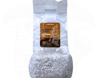 Bolsa de micelio de grano precolonizado: grano de centeno orgánico listo para usar para el cultivo de setas.