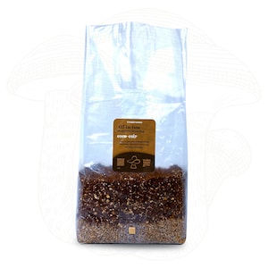 All-In-One Mushroom Grow Bag – Coconut Coir + Organic Rye Grain, Sterile & Ready to Use