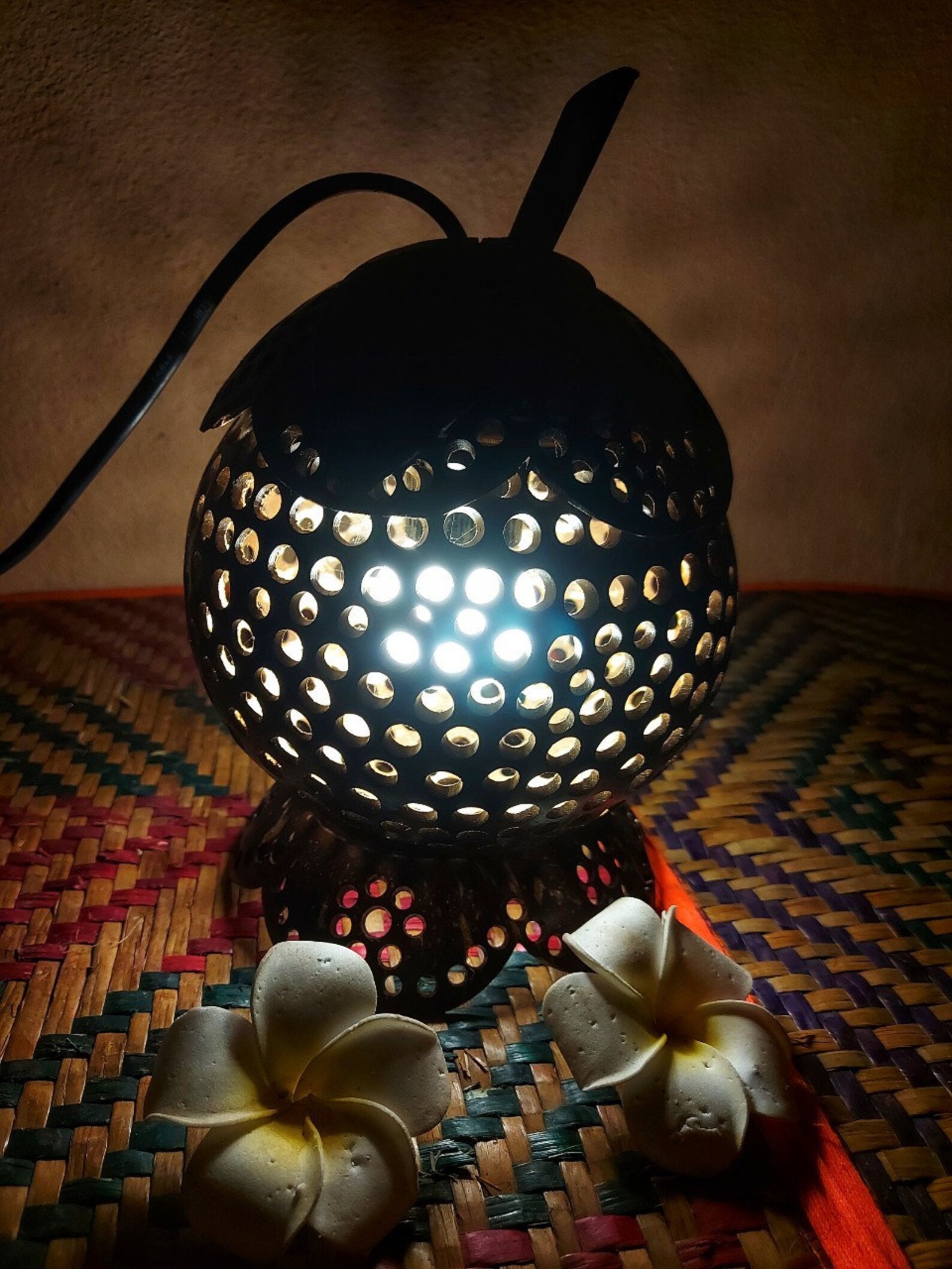 Mangosteen Coconut Shell Table Lamp Desk Lamp Home Decoration. Etsy UK