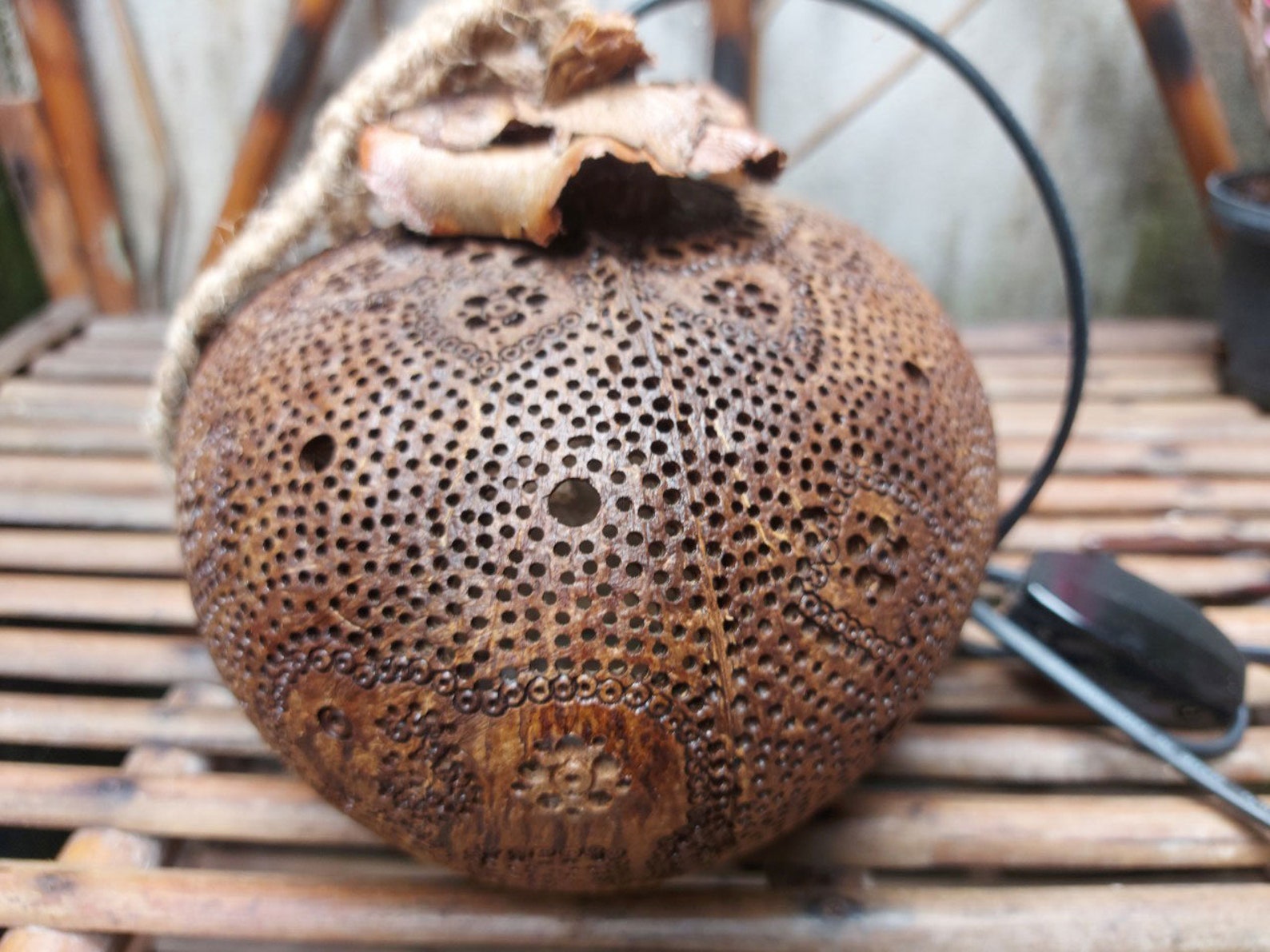 Coconut Shell Lamp Carved Coconut Shell Unique Decorations Etsy