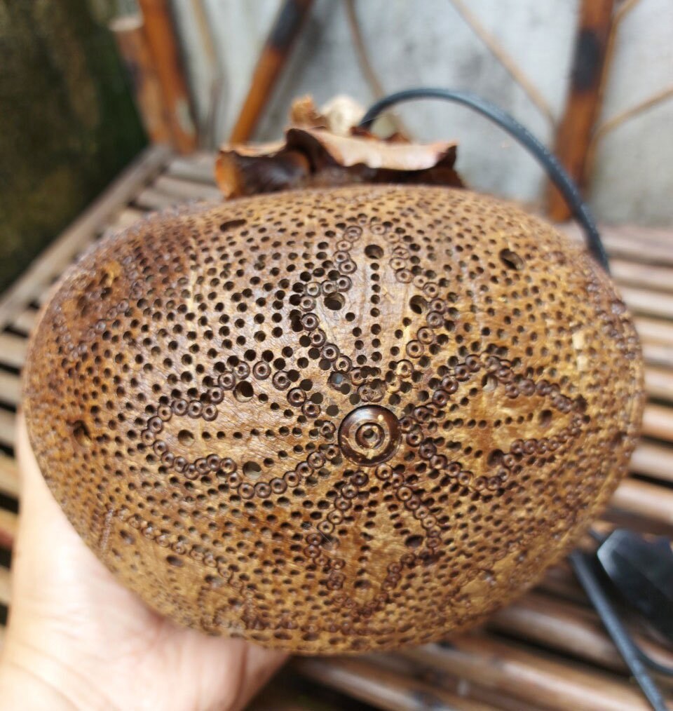 Coconut Shell Lamp Carved Coconut Shell Unique Decorations Etsy