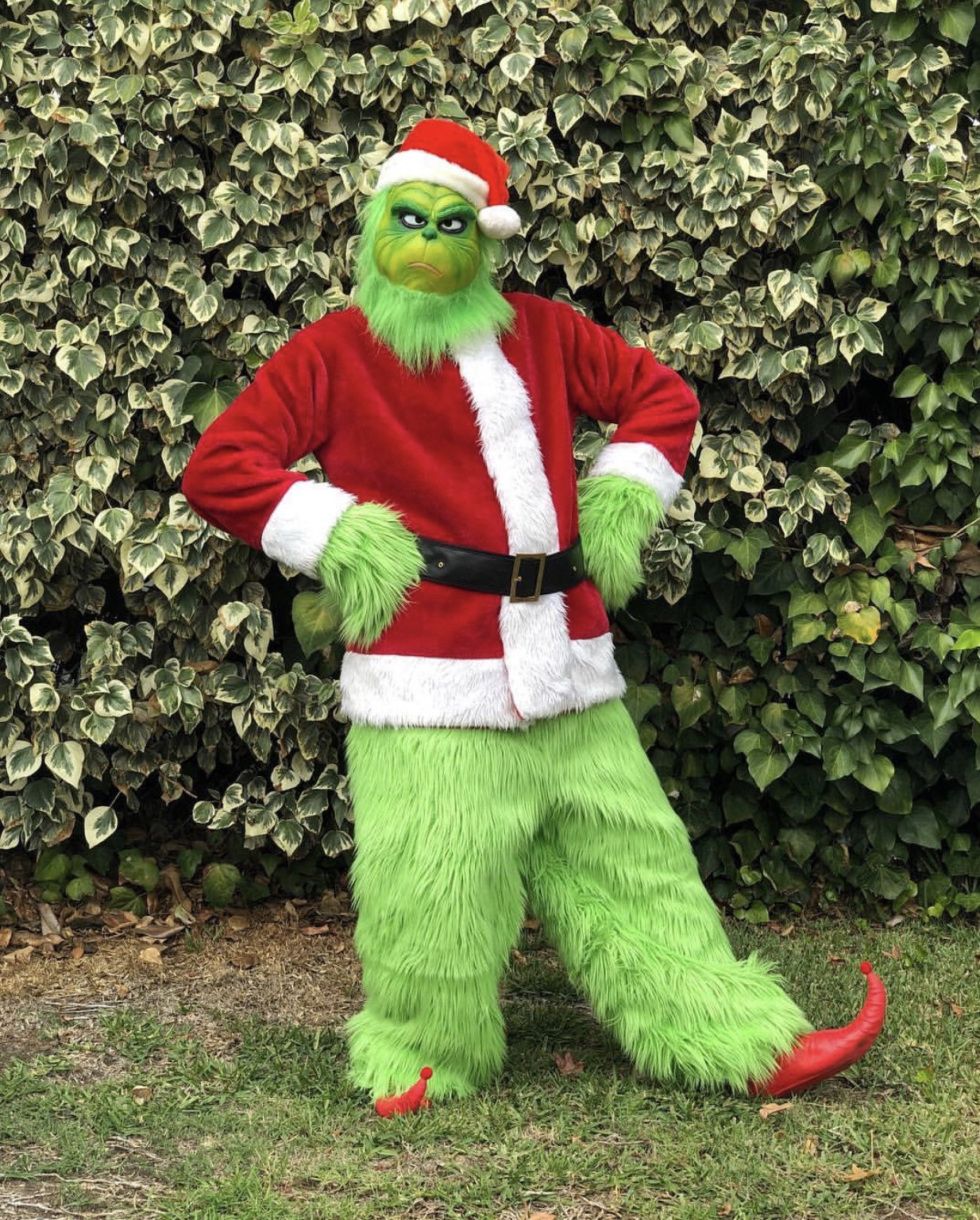 Grinch costume. Christmas costume. Cosplay costume. Etsy