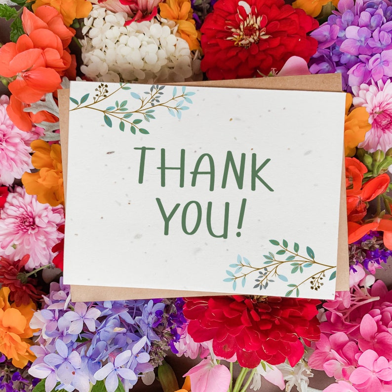 Plantable Seed Thank You Card Variety Pack of 6 6x4 Etsy