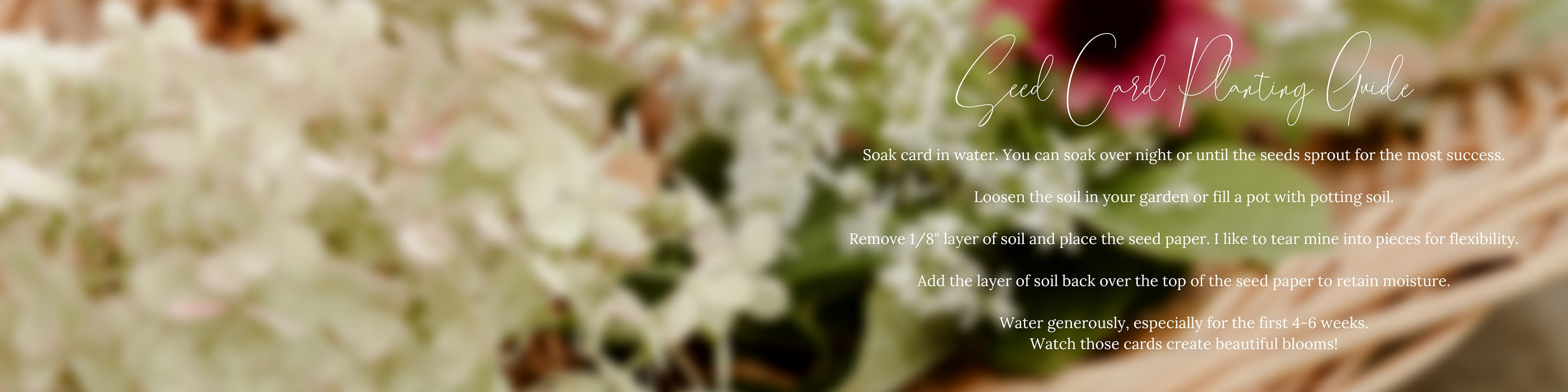 BloomingSeedCards - Etsy
