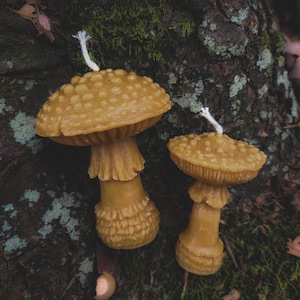 Mushroom Beeswax Candles - Fly Agaric - Set of 2 - Forest Witch