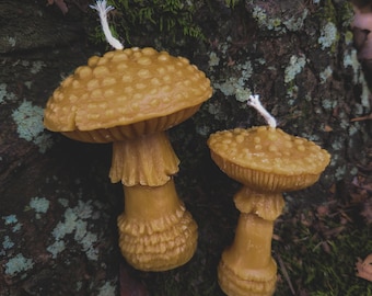 May include: Two mushroom-shaped candles made of yellow wax. The candles have textured caps and stems, with a white wick extending from the top of each. The candles are set against a backdrop of a tree trunk and moss.