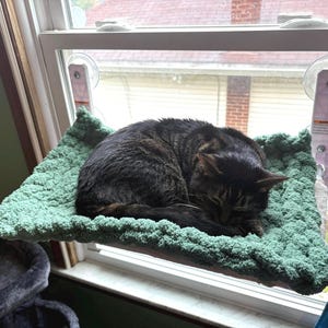 May include: A dark brown tabby cat curled up on a sage green, chunky knit fabric window perch. The rectangular perch is supported by white plastic brackets with clear suction cups attached to the glass pane of a window.