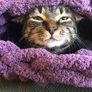 May include: A tabby cat with green eyes peeks out from a purple knitted blanket.