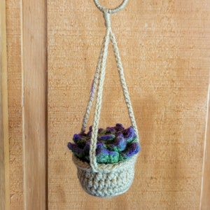 May include: A crocheted succulent plant in a hanging planter. The plant is purple and green and the planter is beige.