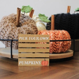 Chunky Handmade Pumpkin | Crochet | Rustic Fall Decor