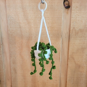 May include: A white crocheted hanging planter with a green crocheted plant. The plant has long trailing vines.