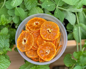 Orange Dehydrated healthy chips, Garnish,