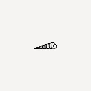 Minimalist Shell Logo – Nature-Inspired Branding for Wellness and Handmade Products