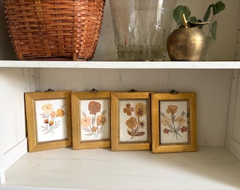 Set of 4 Framed Pressed Flowers | Gold Beaded Frame Botanicals