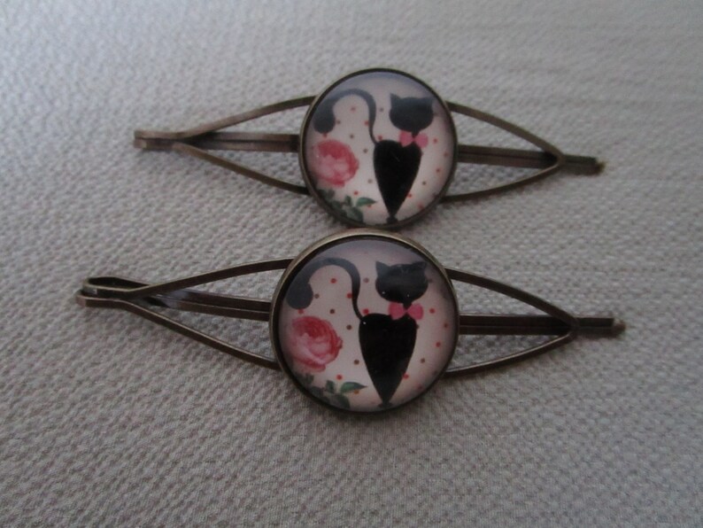 Clips Pinches for Fancy Hair