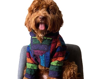 Rainbow Mexican Dog Sweater: Warm Pet Hoodie