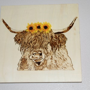 Sunflower Cow