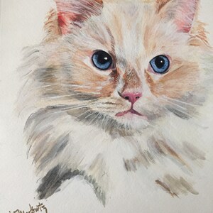 Custom Cat Portrait