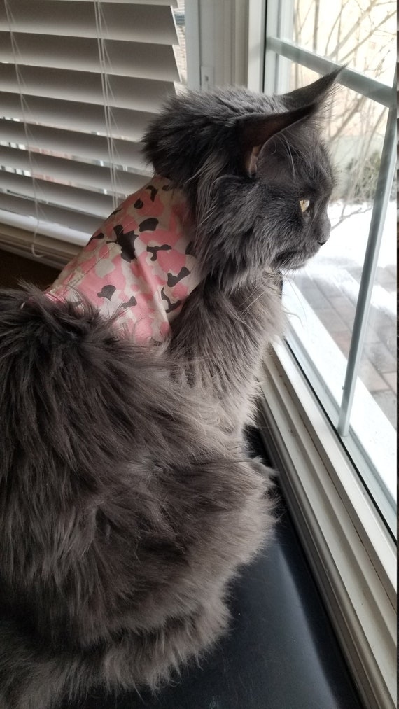 Escape Proof Cat Harness PINK CAMO by My Kitty Harness Etsy