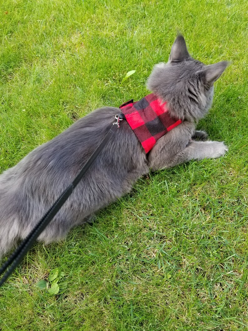 Escape Proof & Comfortable Cat Harness Red Buffalo Check Etsy