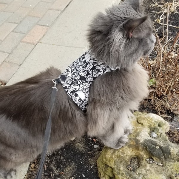 Cat Harness Pattern Etsy