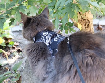 MOTO KITTY Cat Harness (Escape Proof & Comfortable)