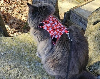 WINTER KITTY RED Cat Harness (Escape Proof & Comfortable)